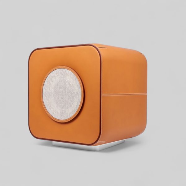 Connected Speaker
