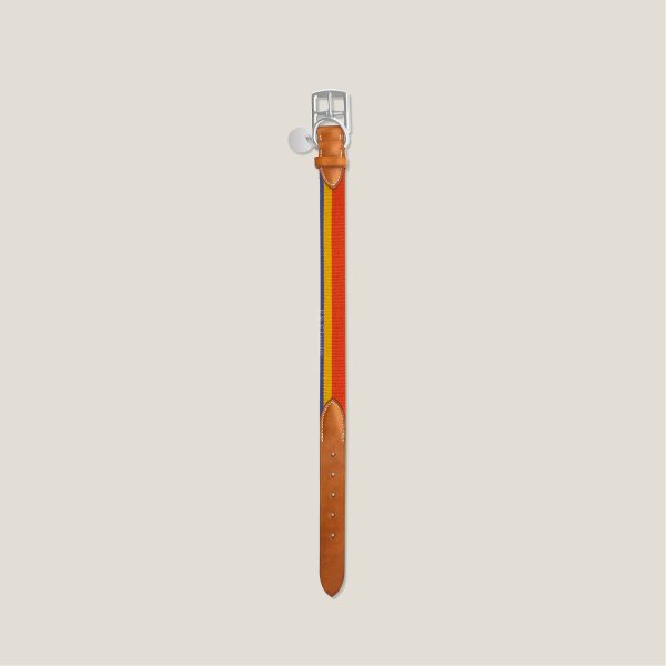 Rocabar II Dog Collar