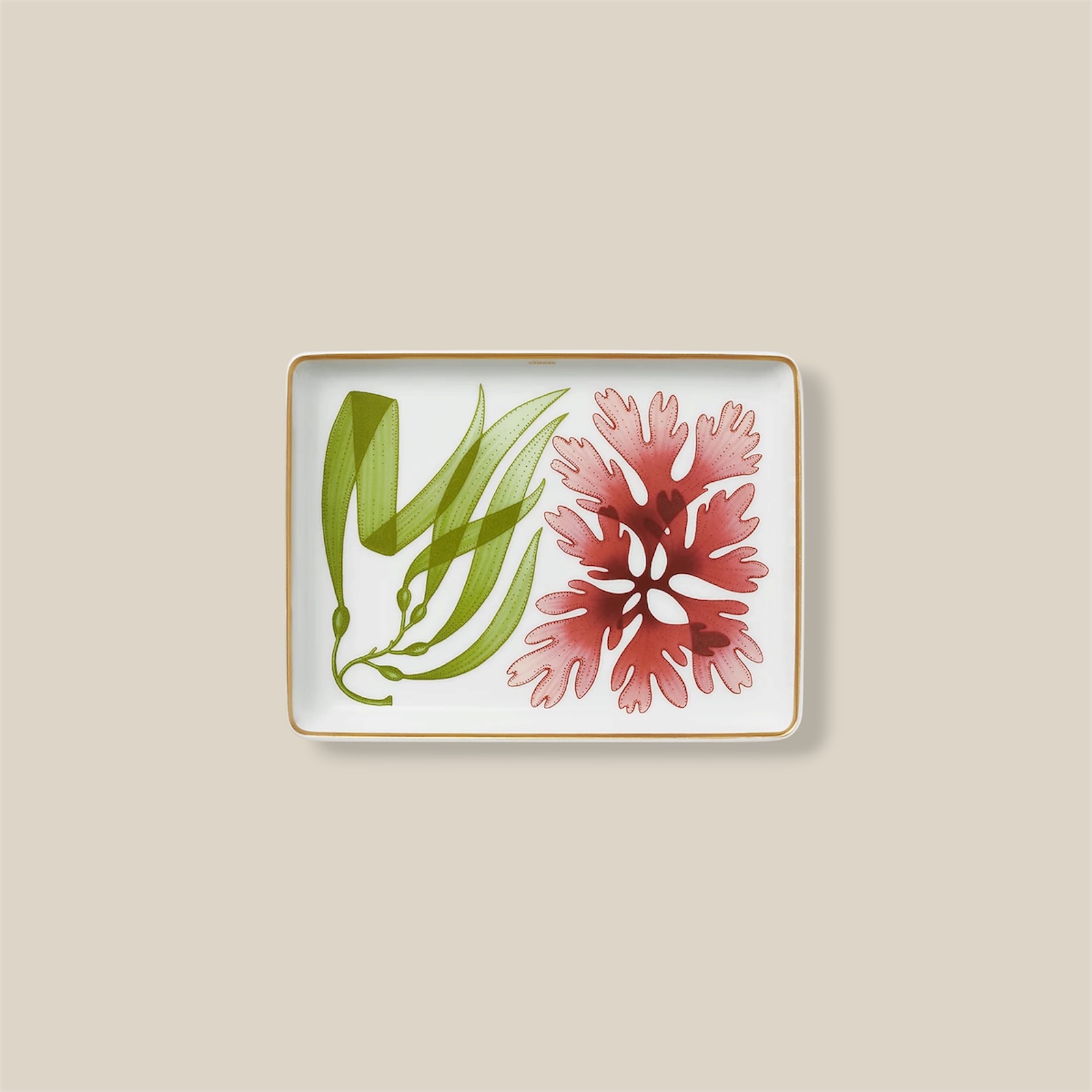 Natures Marines Small Tray